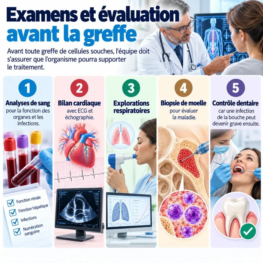 Indications de la greffe de moelle osseuse