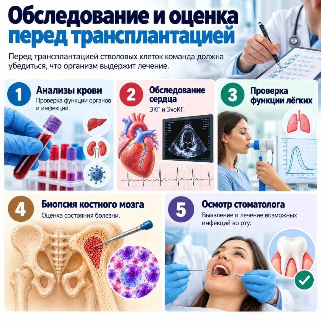Кому нужна пересадка костного мозга